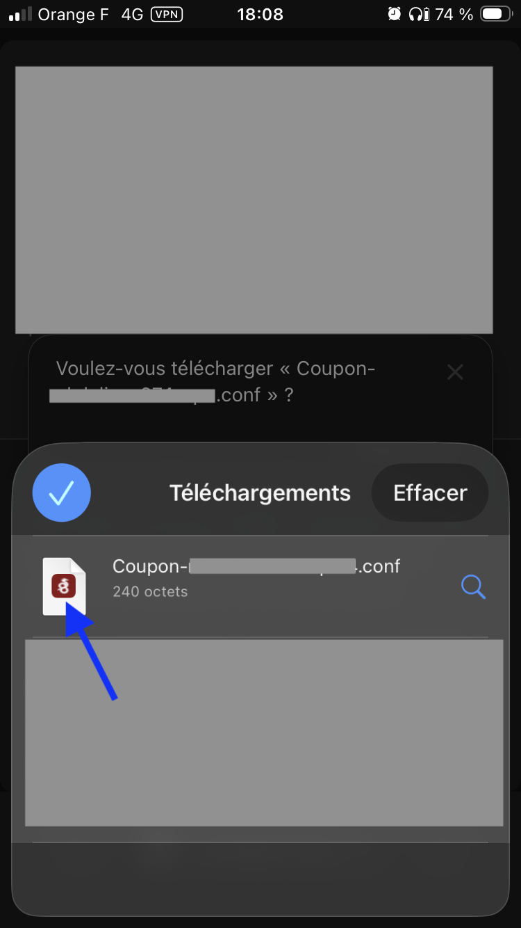 Fichier .conf dans la liste des téléchargements