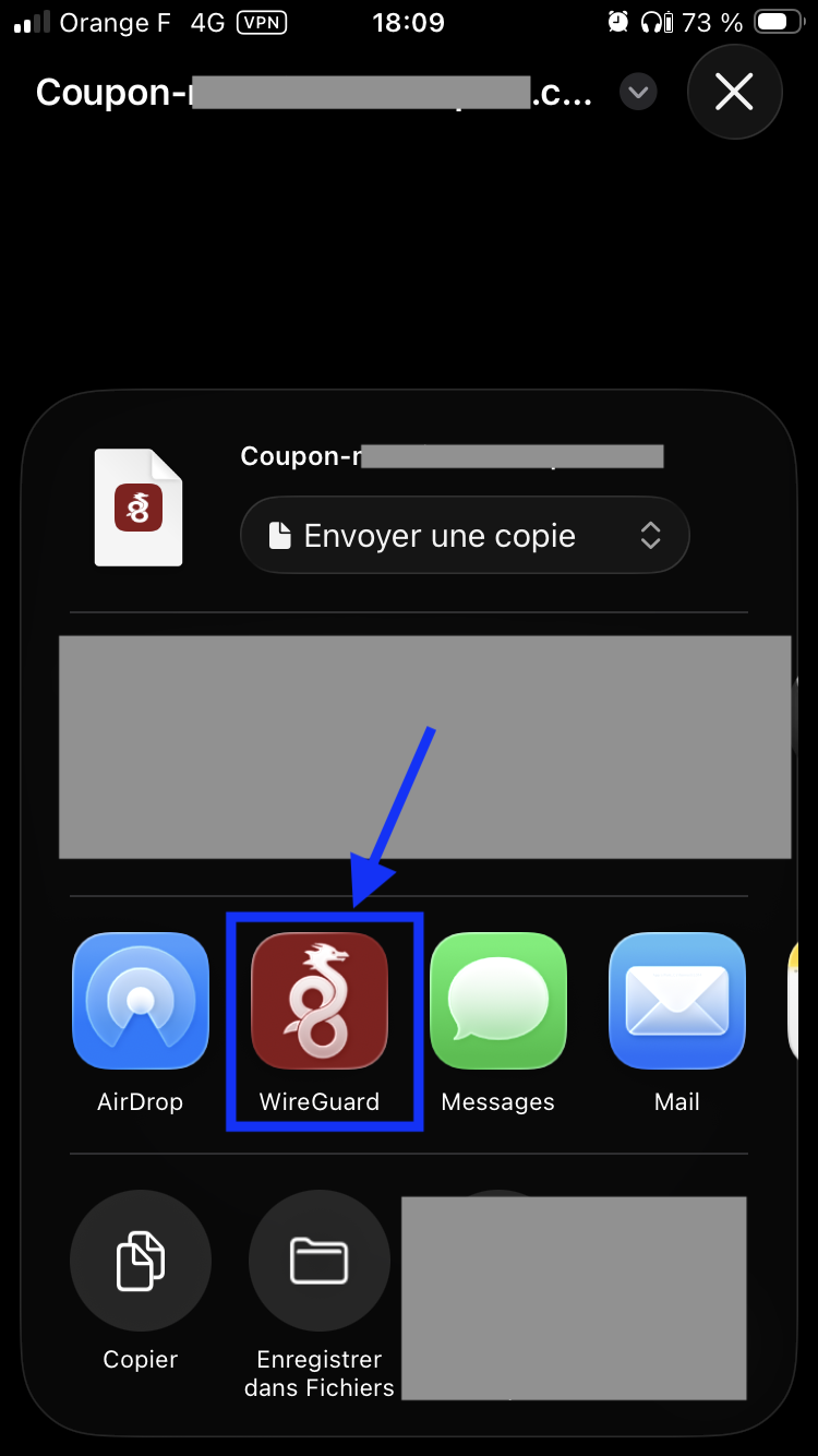 Icône WireGuard dans le menu de partage